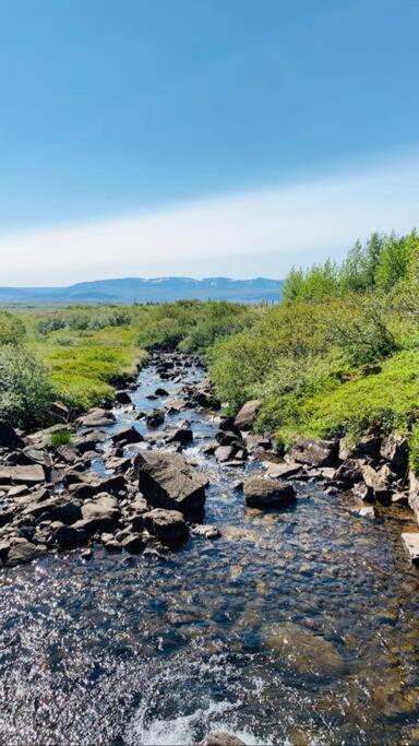 Cozy In Stunning Nature - Borgarfjordur Holiday home