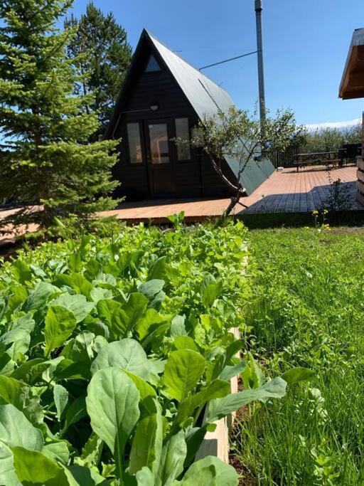 Holiday home Cozy In Stunning Nature - Borgarfjordur